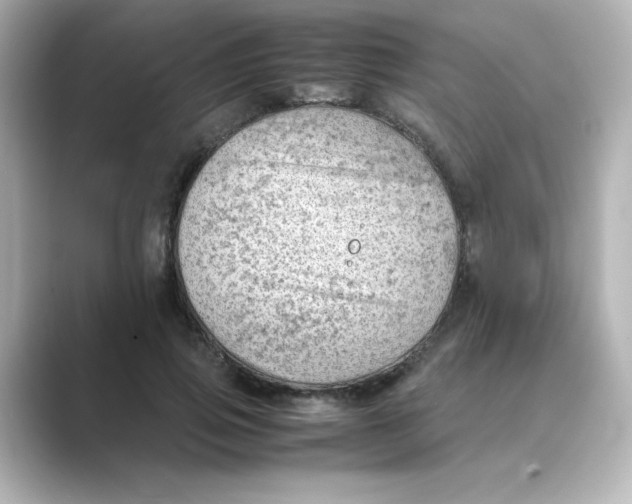X0000088740741200706212056