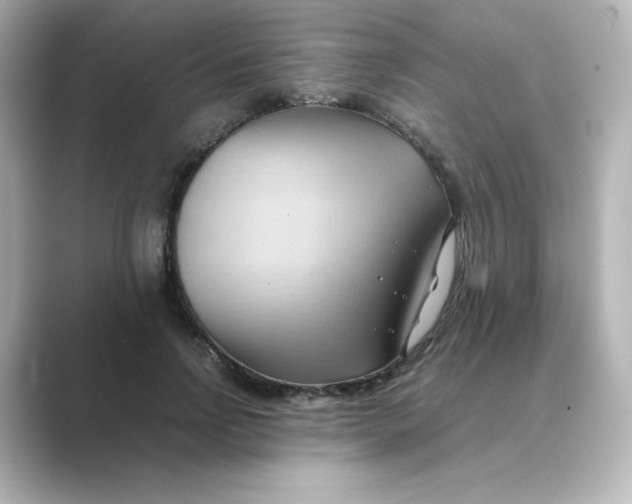 X0000088740742200706212056