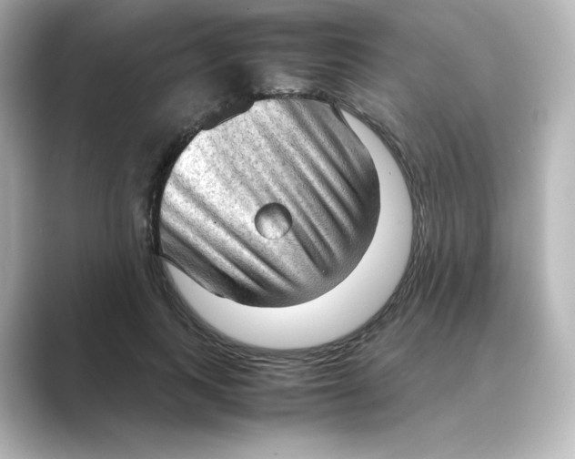 X0000088740743200706212056