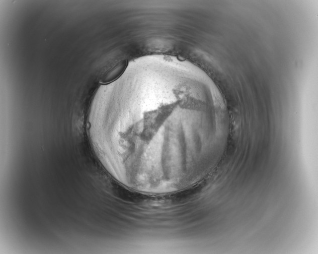 X0000088740745200706212056