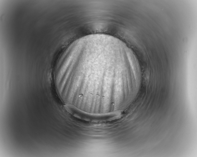 X0000088740746200706212056