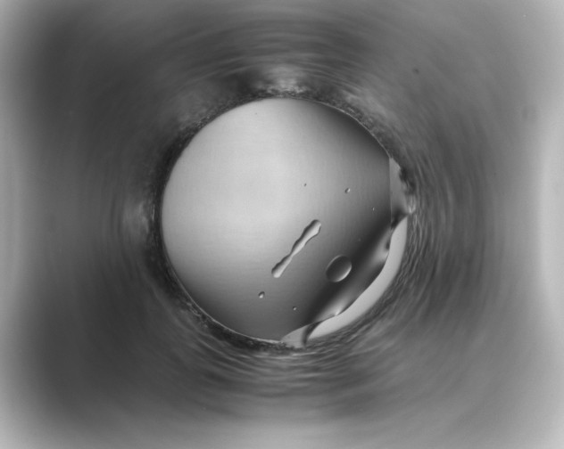 X0000088740747200706212056