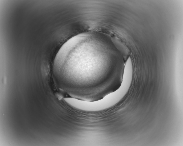 X0000088740748200706212056
