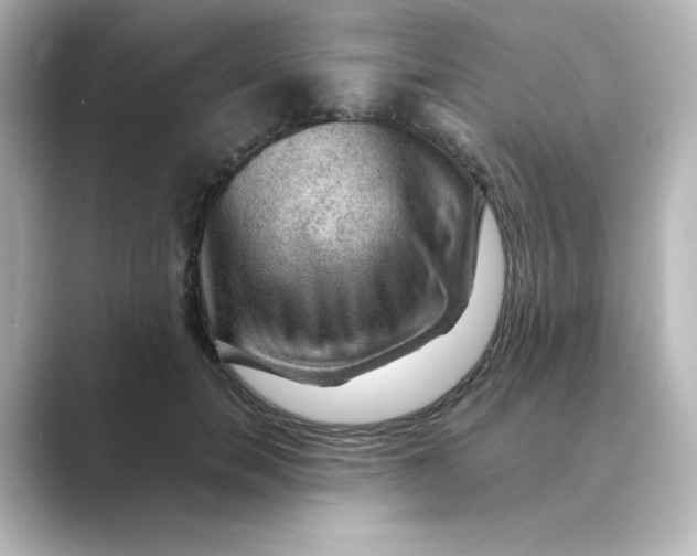 X0000088740750200706212056