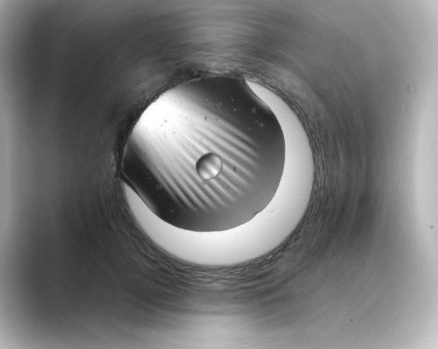 X0000088740752200706212056