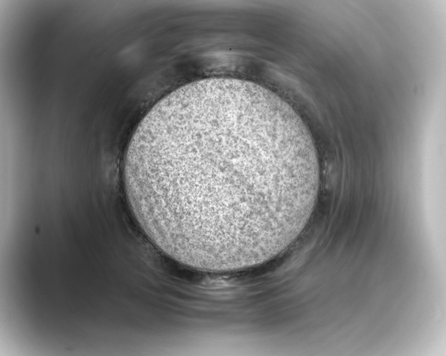X0000088740753200706212056