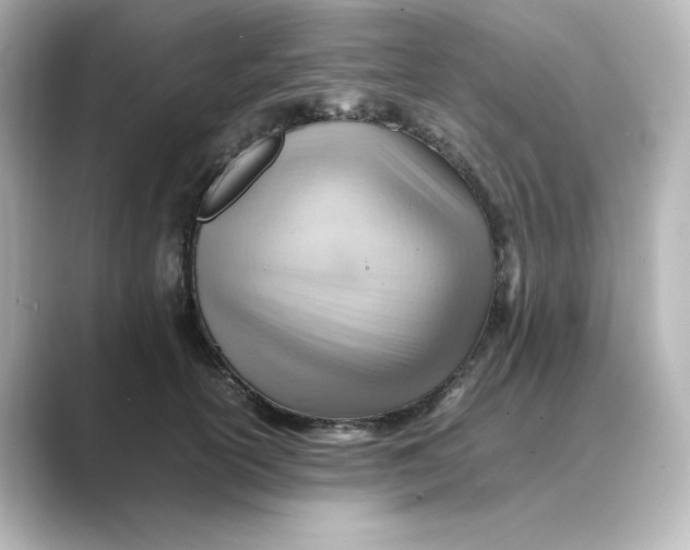 X0000088740754200706212056