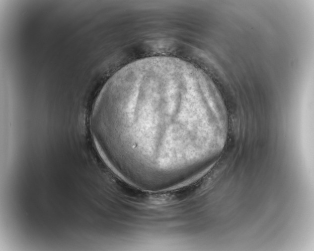X0000088740757200706212056