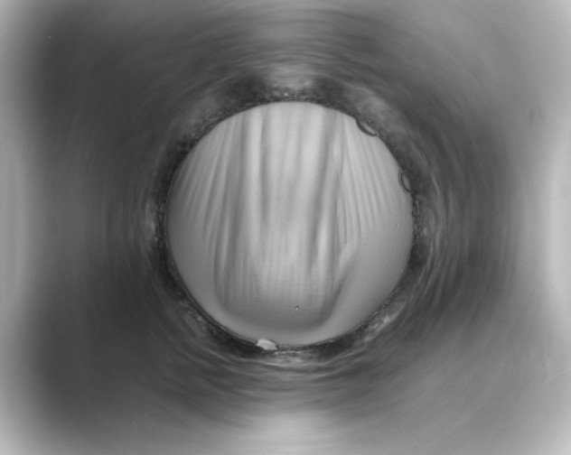 X0000088740758200706212056