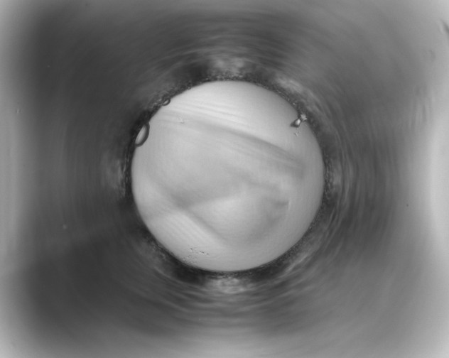 X0000088740759200706212056