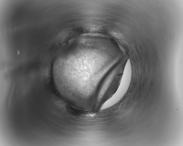 X0000088740760200706212057