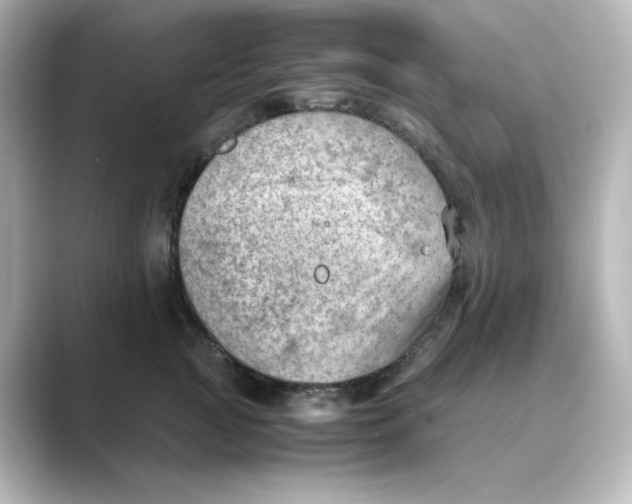 X0000088740761200706212057