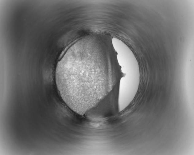 X0000088740762200706212057
