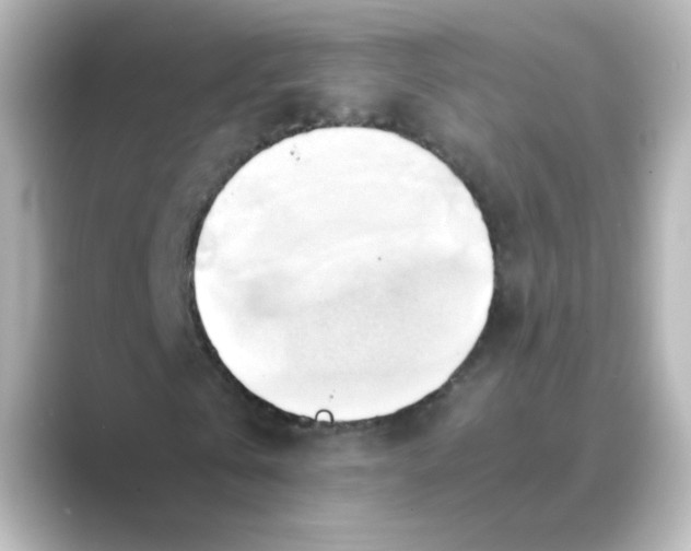 X0000088740769200706212056