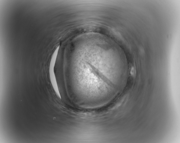 X0000088740771200706212056
