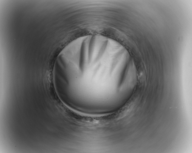 X0000088740772200706212056