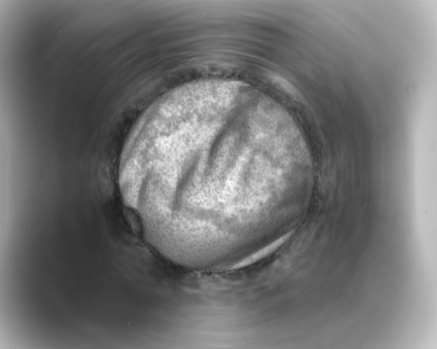 X0000088740774200706212056