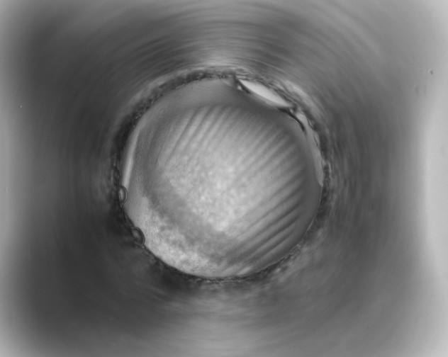 X0000088740776200706212056