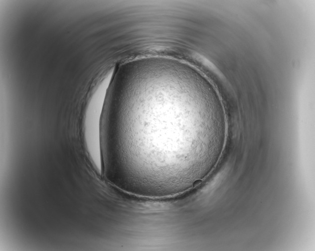 X0000088740777200706212056