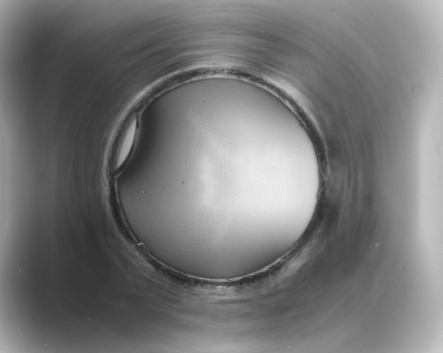 X0000088740783200706212056