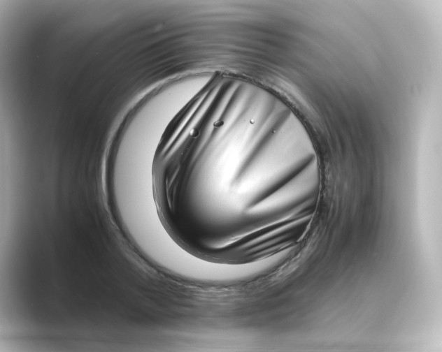 X0000088740788200706212056