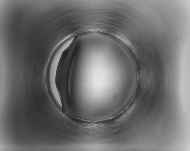 X0000088740790200706212056