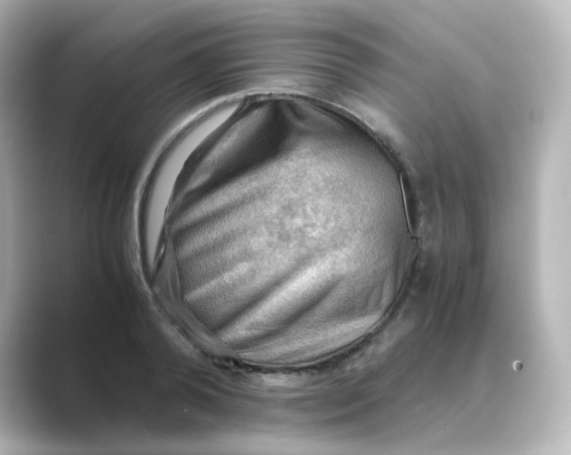 X0000088740792200706212056