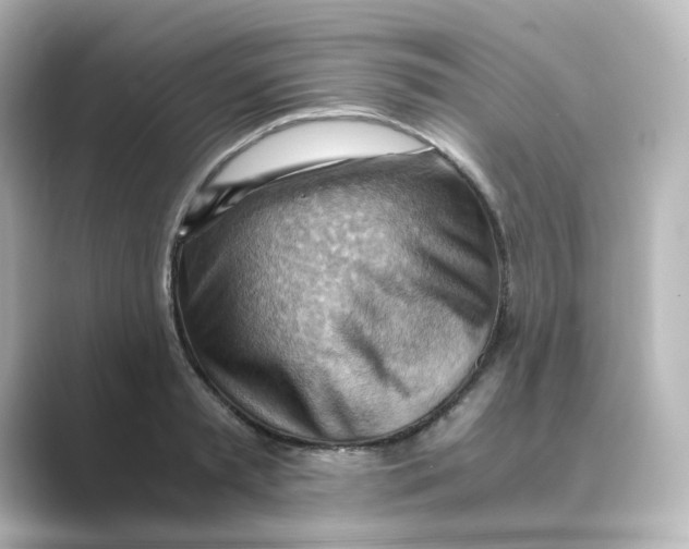 X0000088740797200706212056