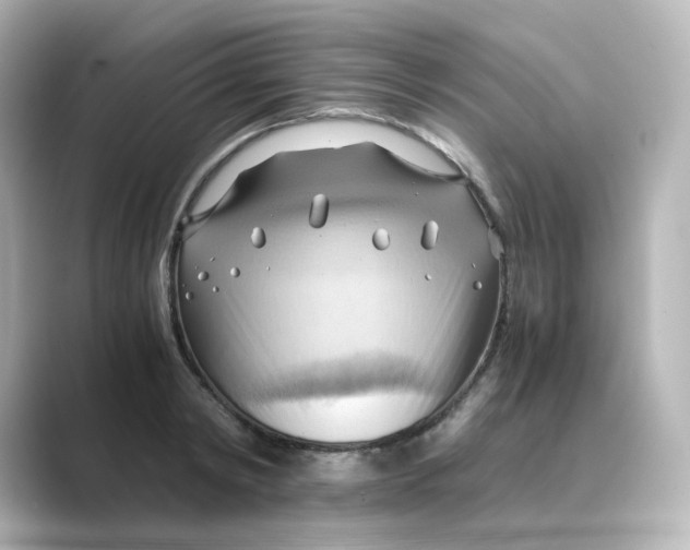 X0000088740798200706212056