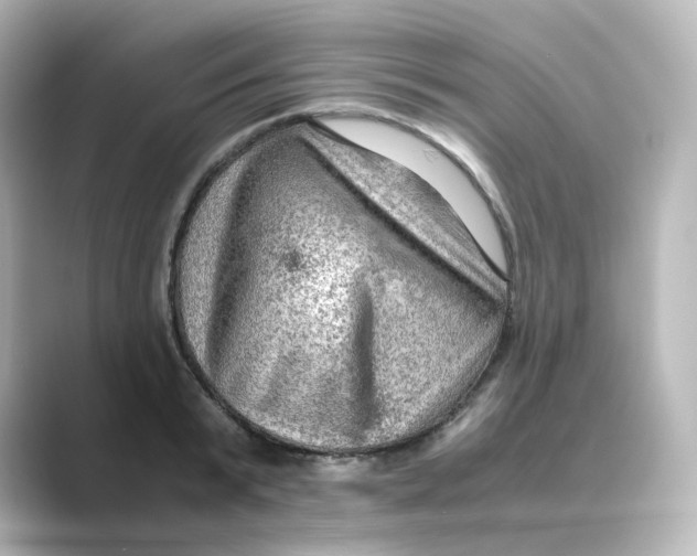 X0000088740799200706212056