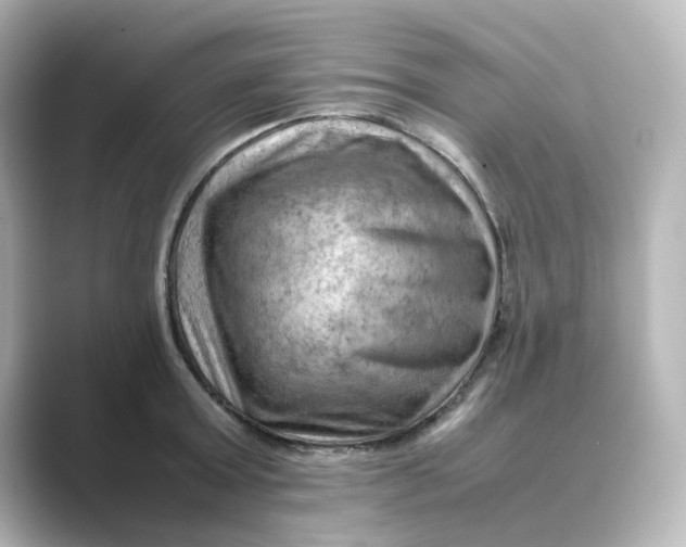 X0000088740803200706212056