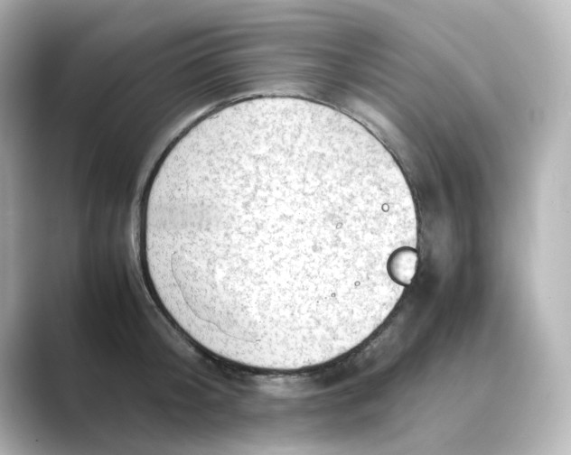 X0000088740804200706212056