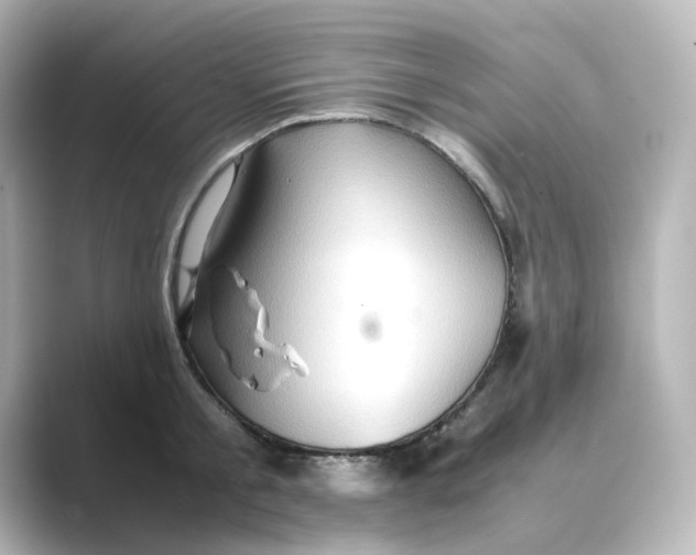 X0000088740805200706212056