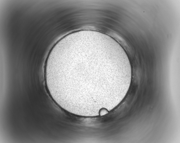 X0000088740808200706212056