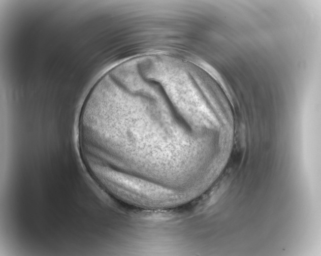 X0000088740811200706212056