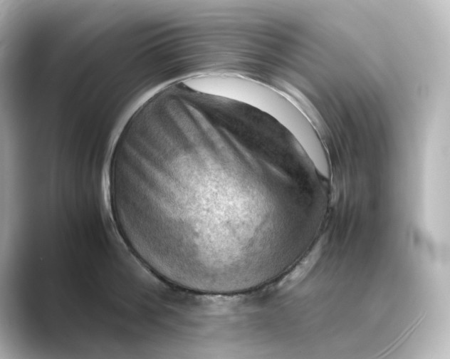 X0000088740812200706212056