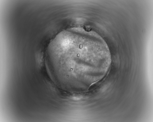 X0000088740818200706212055