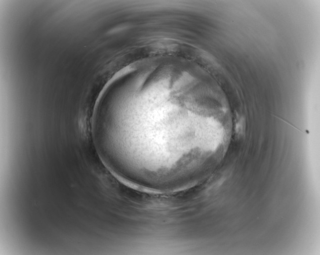 X0000088740819200706212055