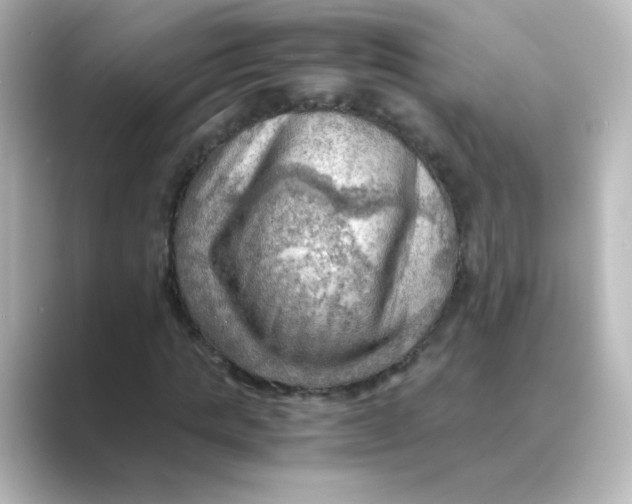 X0000088740821200706212055