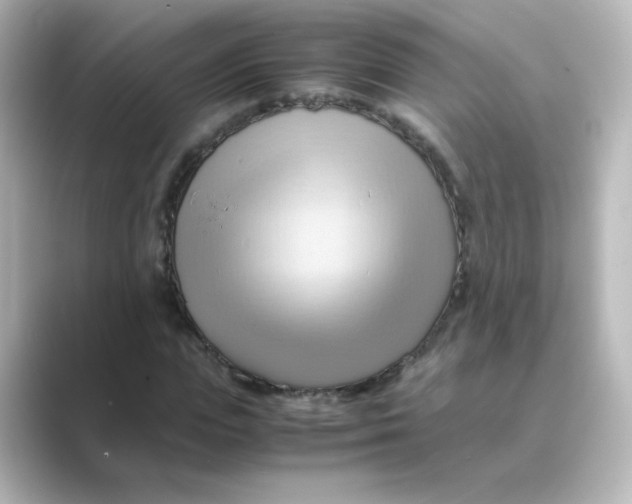 X0000088740823200706212055