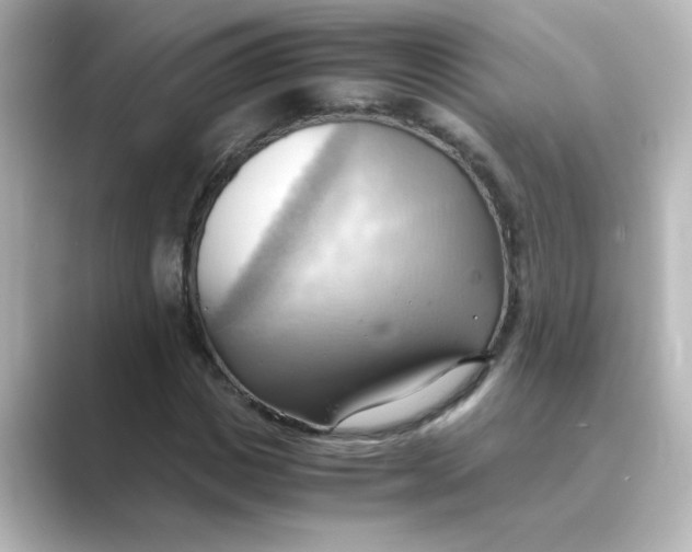 X0000088740825200706212055