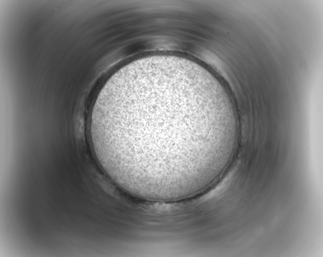 X0000088740827200706212055
