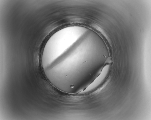 X0000088740829200706212055