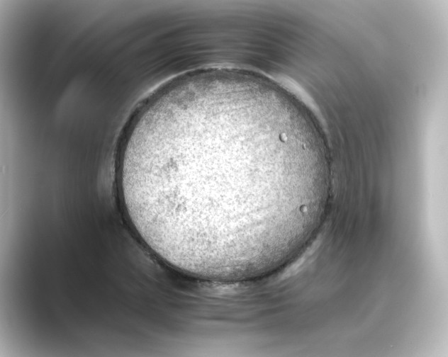 X0000088740831200706212055
