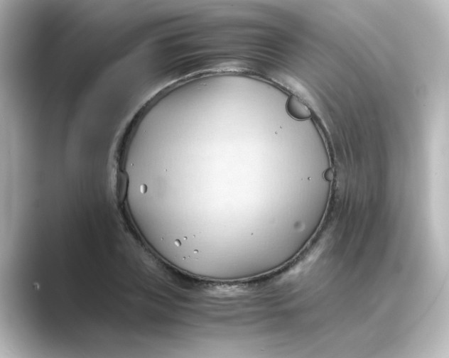 X0000088740835200706212055