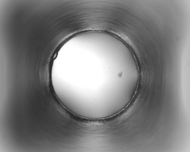 X0000088740838200706212055