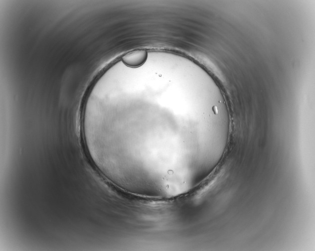 X0000088740839200706212055