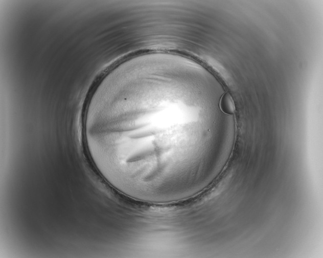 X0000088740840200706212055