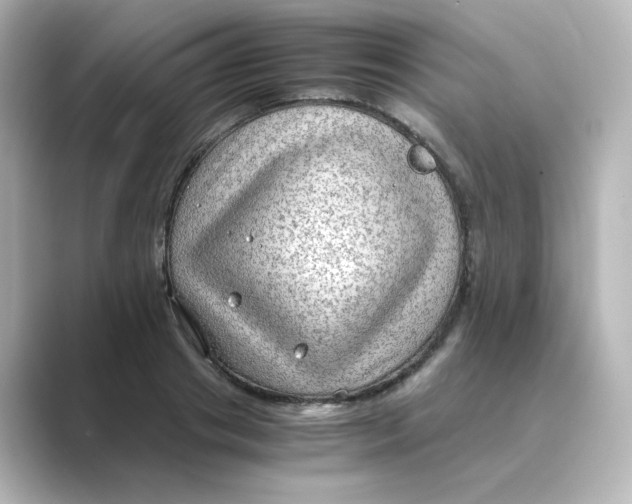X0000088740841200706212055