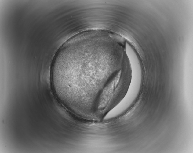 X0000088740842200706212055